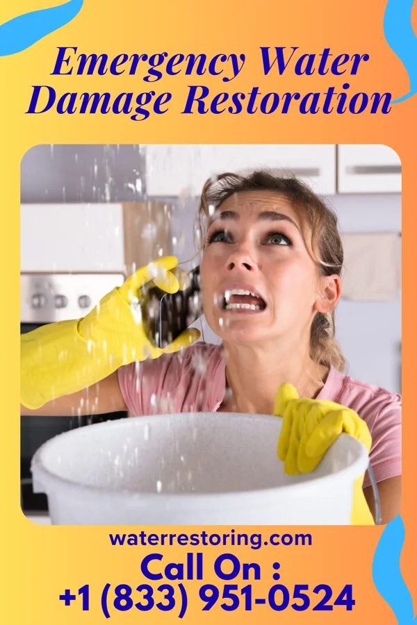 Emergency Water Damage Restoration in The Colony, TX