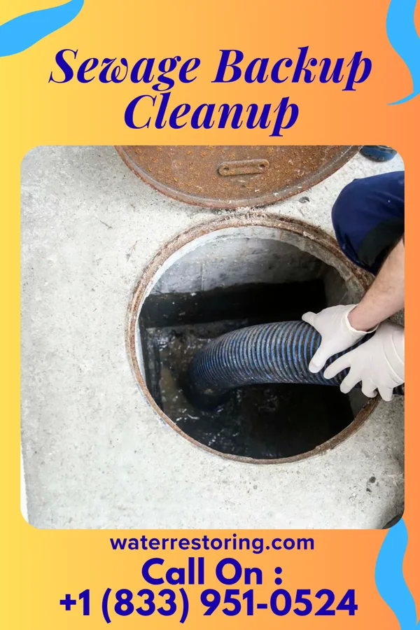 Sewage Backup Cleanup in The Colony, TX